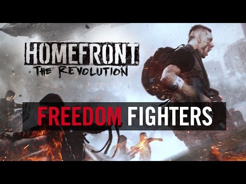 Freedom Fighters on Steam