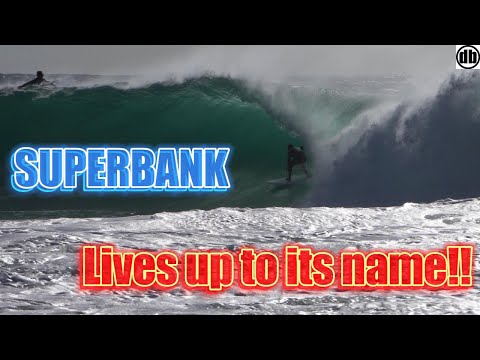 Epic Snapper Rocks and Kirra