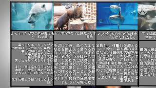 豆知識 雑学() 【水族館編】
