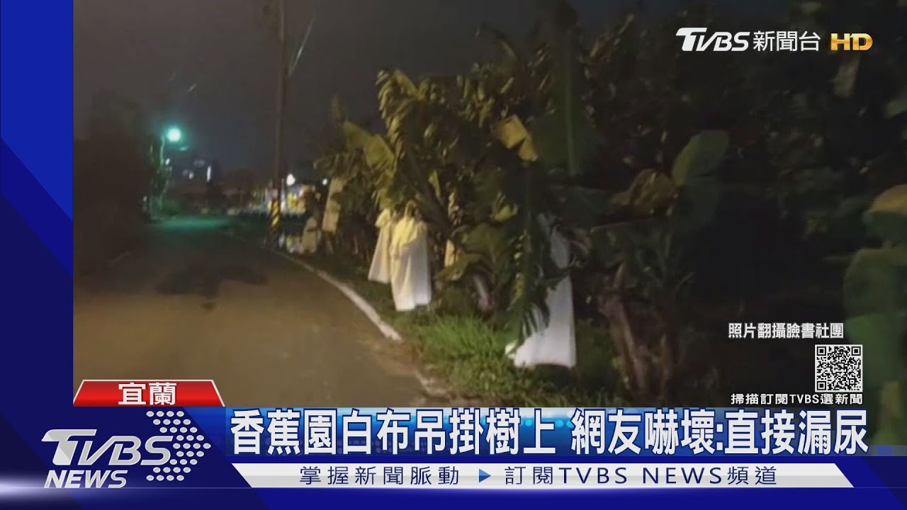 香蕉園白布吊掛樹上 網友嚇壞:直接漏尿