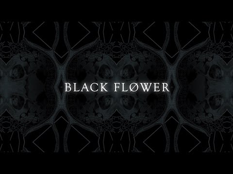 Hung On Horns - Black Flower (Official Lyrics Video)