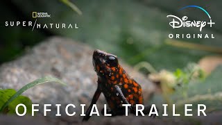Super Natural | Official Trailer | Disney+