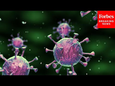 Senate Commerce Committee Probes COVID-19 Scams