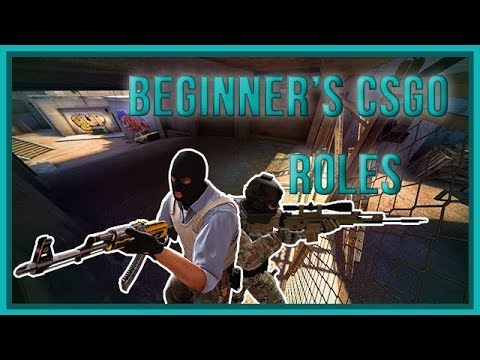 zorlaKOKA Beginner's CSGO - Roles