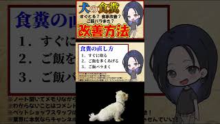 愛犬の食糞の直し方 #犬を飼うということ
