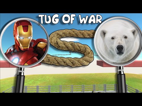 A Battle Between Polar bear and Iron Man - Which Would Win? - Animal Revolt Battle Simulator