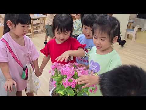 114-2中小班【海芋班】學習歷程分享
