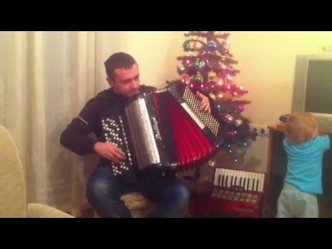Prokleta je žena ta - Halid Bešlić - kućna atmosfera - Vedran Pajić - harmonika