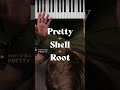 Root + Shell + Pretty