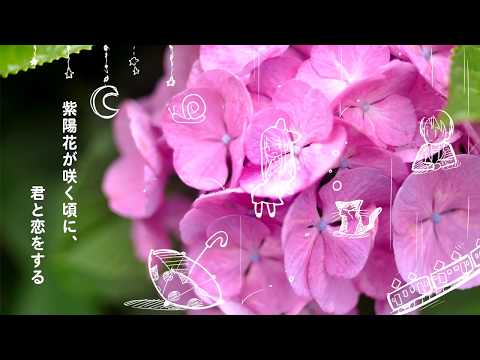 【n.k】When the hydrangeas bloom, I fall in love with you - eng sub【Hatsune Miku】