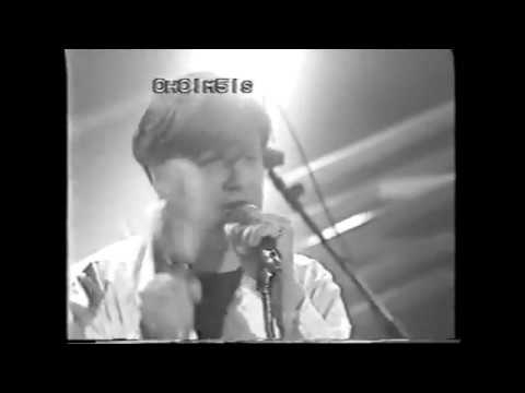 The Fleshtones - Live NPA French TV 1995