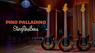 Video thumbnail for The Pino Palladino StingRay Bass Collection by Ernie Ball