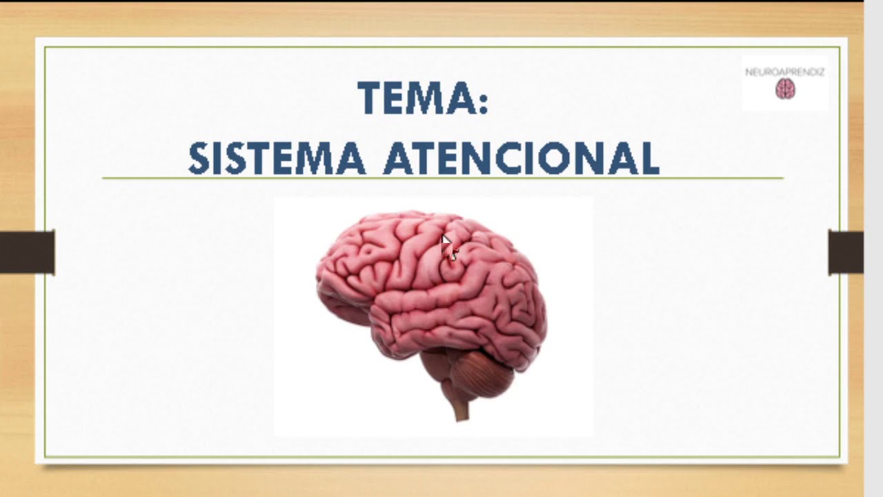 Tipos De Atenção - CANAL NEUROAPRENDIZ