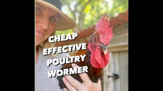 HOW TO WORM CHICKENS/TREATING INTERNAL&EXTERNAL PARASITES in POULTRY