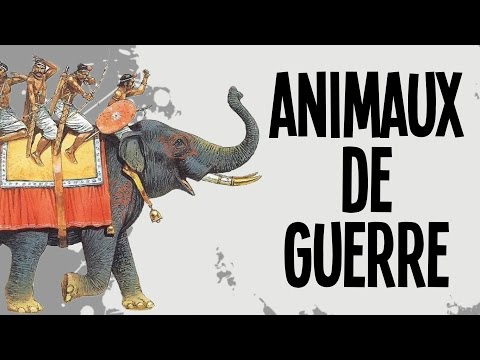 Les 5 animaux de guerre - Nota Bene #15