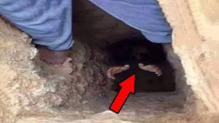 IF THIS IS REAL, WE ARE CLOSER TO THE END THAN WE THINK…