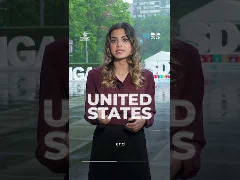 Who actually has power at the United Nations? | AJ #shorts