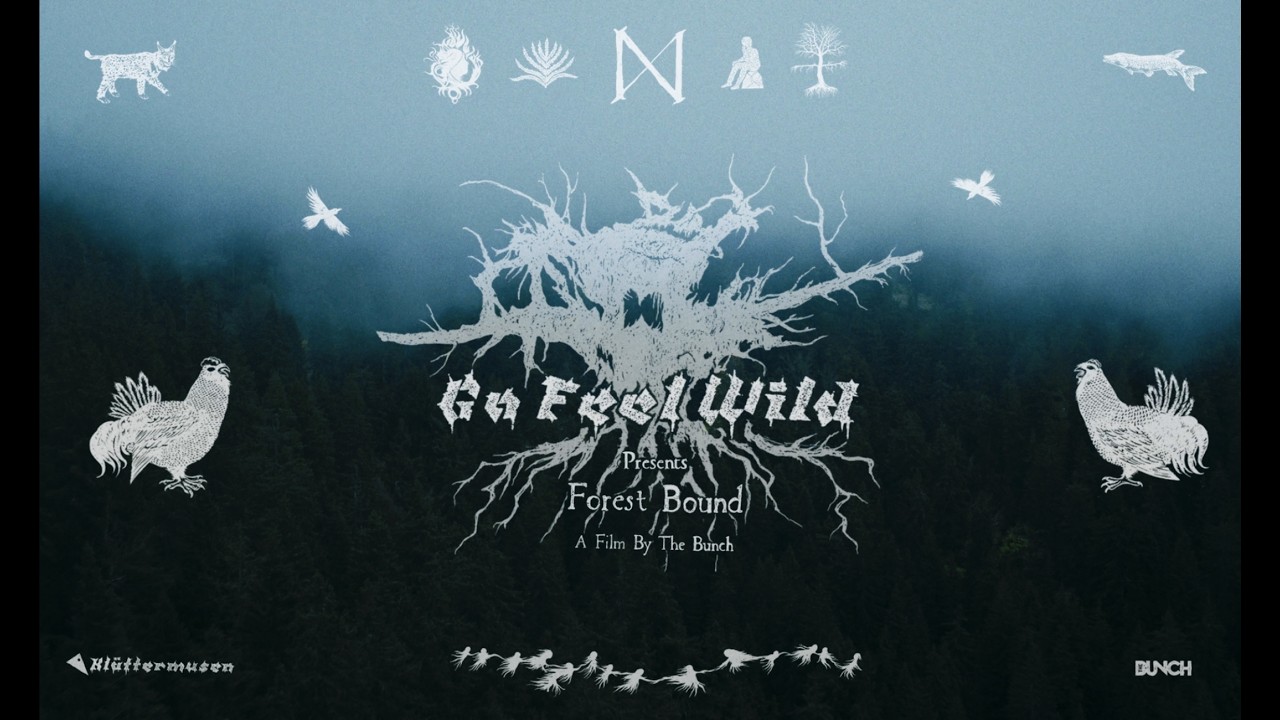 Go Feel Wild Presents Forest Bound &ndash; A Film By The Bunch & Kl&auml;ttermusen - YouTube