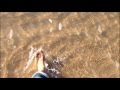 Life Is A Beach