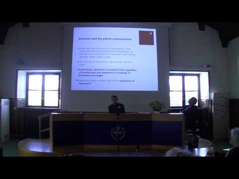 02. Johannes Lehtonen. Serotonin och psykoterapi