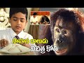 Sahasa Baludu Vichitra Kothi Full Movie Scene Vijayashanti Sarath Babu Vidhya Sagar I Dream