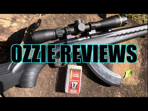 Ruger American Rimfire Pros \u0026 Cons