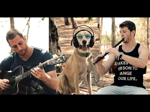 The level plain (Magh Seola)  - Irish whistle , flute & guitar