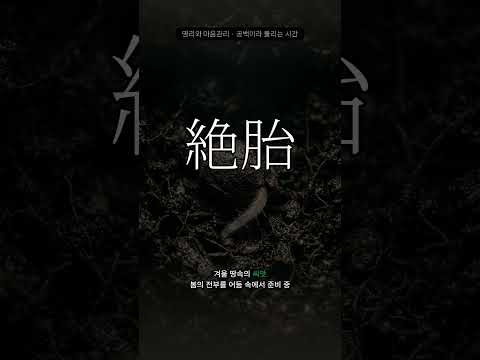 아무것도 아닌 시간은 없다 | 절과 태