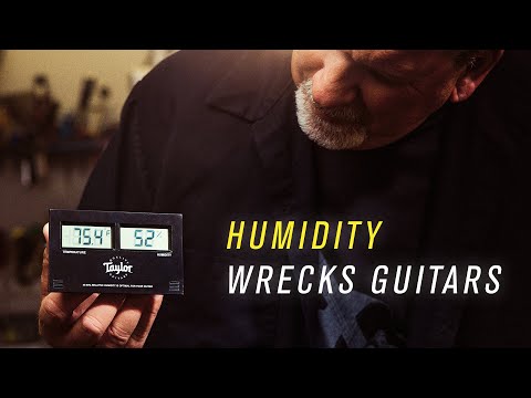 Humidity Control Part 1 | The Invisible Threat to Your Guitar