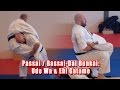 Practical Kata Bunkai Passai Bassai Dai Gichin Funakoshi S Ude Wa Ebi Gatame