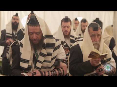 European Kinus Banquet Opening Video