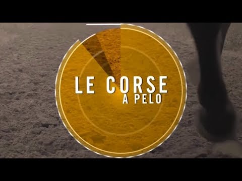 CORSE A PELO, MOCIANO 08-05-2019