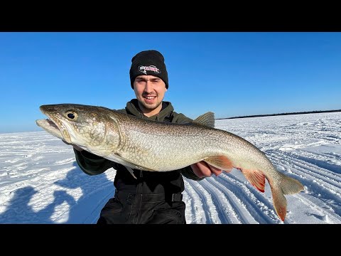 Ice Fishing a World Class Lake for Trophy Fish!