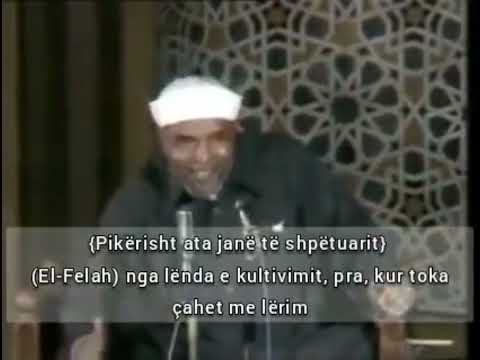 Shejh Sharaviu. Zoti i Madhërishëm, a e ngarkoi krijesën me një barrë e cila do ta ngushtojë ?