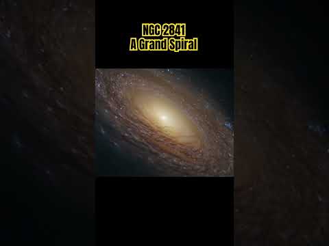 What Makes NGC 2841 Such A Beautiful Galaxy? #cosmicwonders