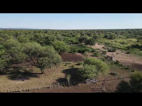 Campo de cría Villa de Soto .Títulos Perfectos