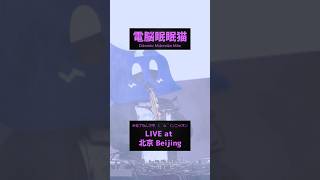 電脳眠眠猫 Live at 中国北京 #strawberrymusicfestival