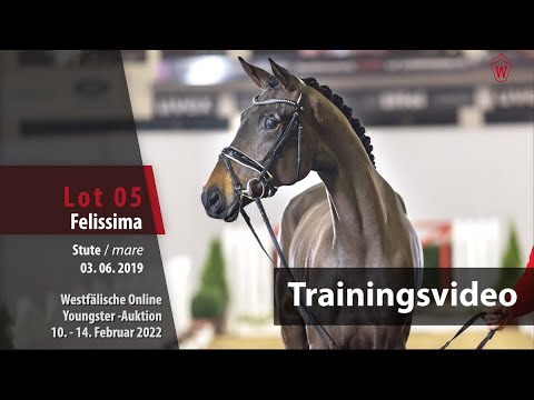 Online Youngster-Auktion Training Lot 5 Felissima Stute v. Franziskus - Belissimo M