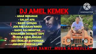Download lagu Remix dj amel kemek spesial request toke sawit muda prambatan pali mp3