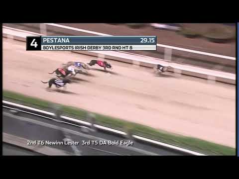 2020 BOYLESPORTS DERBY - R3 HEAT 8 - T4 PESTANA