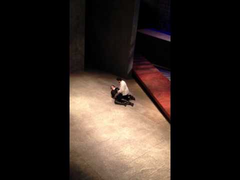 Marco Caria, DON CARLO, morte di Rodrigo