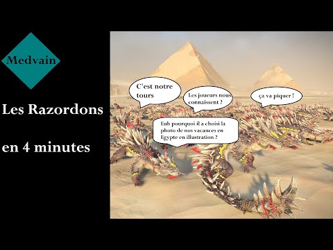 Les Razordons en 4 minutes