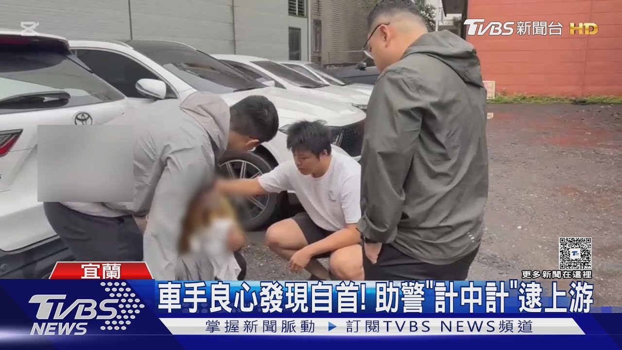 母苦勸「別再做車手」　兒被喚醒自首　助功警逮詐團收水手