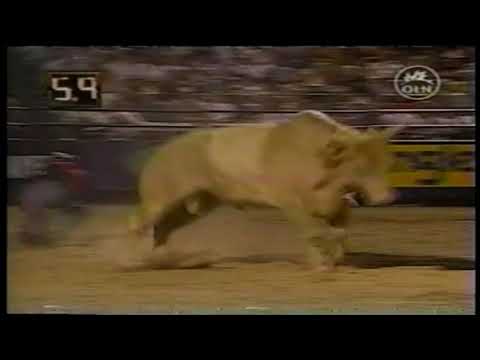 Tahonta bucks Brian Wooley - 03 PBR Laughlin