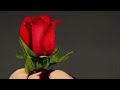 OHANGLA VALENTINE DANCEHALL
