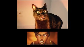 Cover art for Arcane season 2 opening but it's just my cat