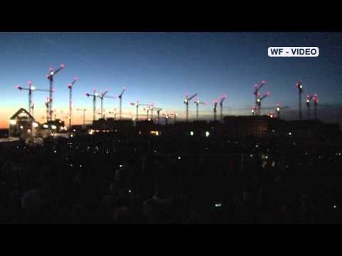 Kranensee - Ballett der Kräne