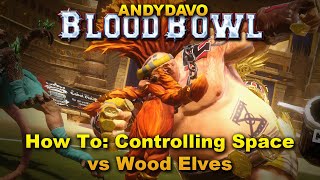 AndyDavo Dwarves: How To Control Space Vs Wood Elves [Match 8]