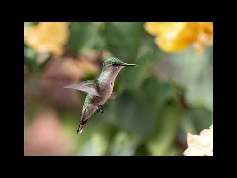 Are You Holding On - Tom Caio #lucid #dreaming #music #relaxation #dream #healing #soothing