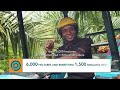 Wilmar Smallholders